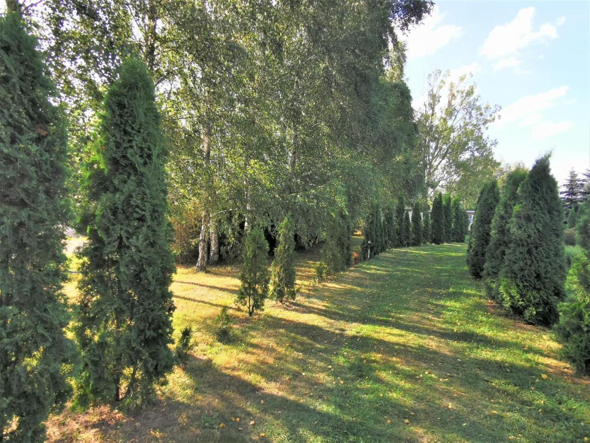Brzozowe Zacisze Villa Łagów Exteriör bild