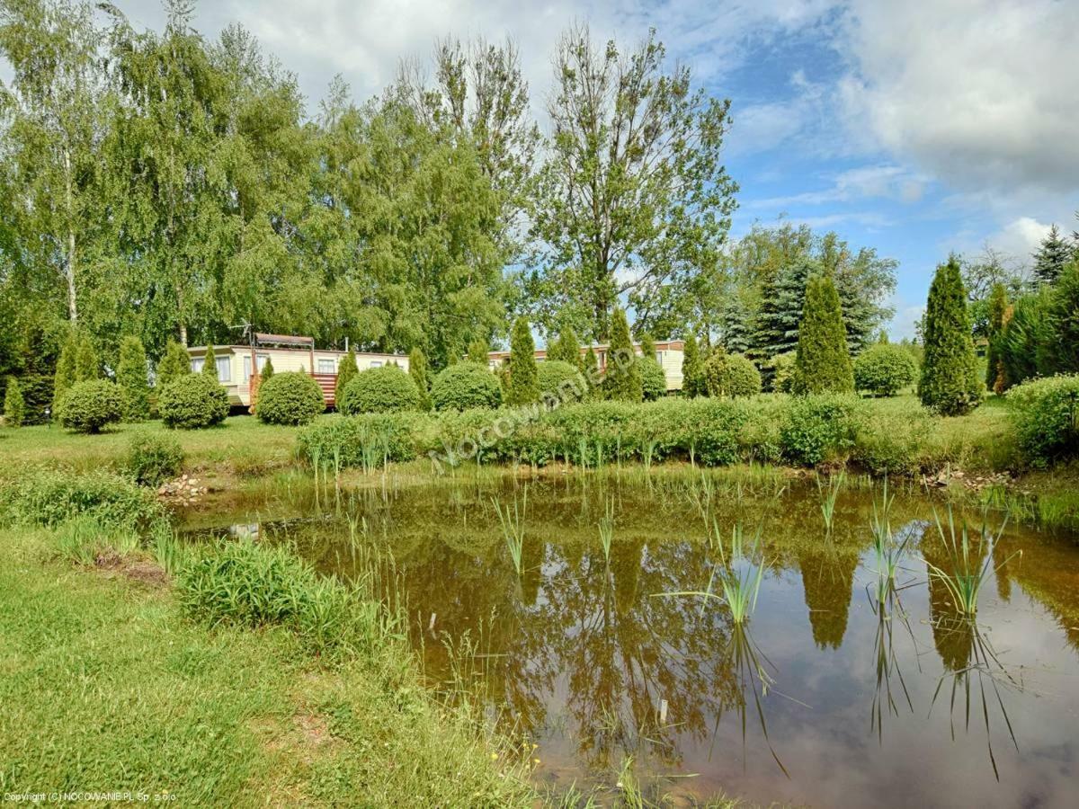 Brzozowe Zacisze Villa Łagów Exteriör bild