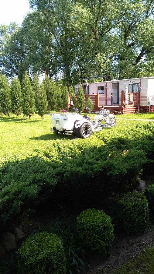 Brzozowe Zacisze Villa Łagów Exteriör bild